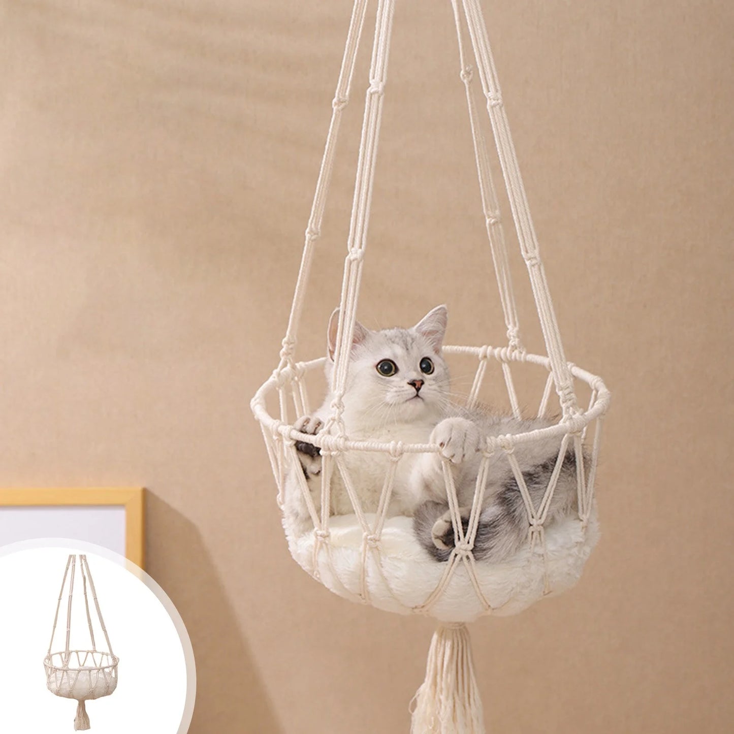 Window-Mounted Cat Bed & Hammock - Space-Saving, Secure Perch Designed for Cats