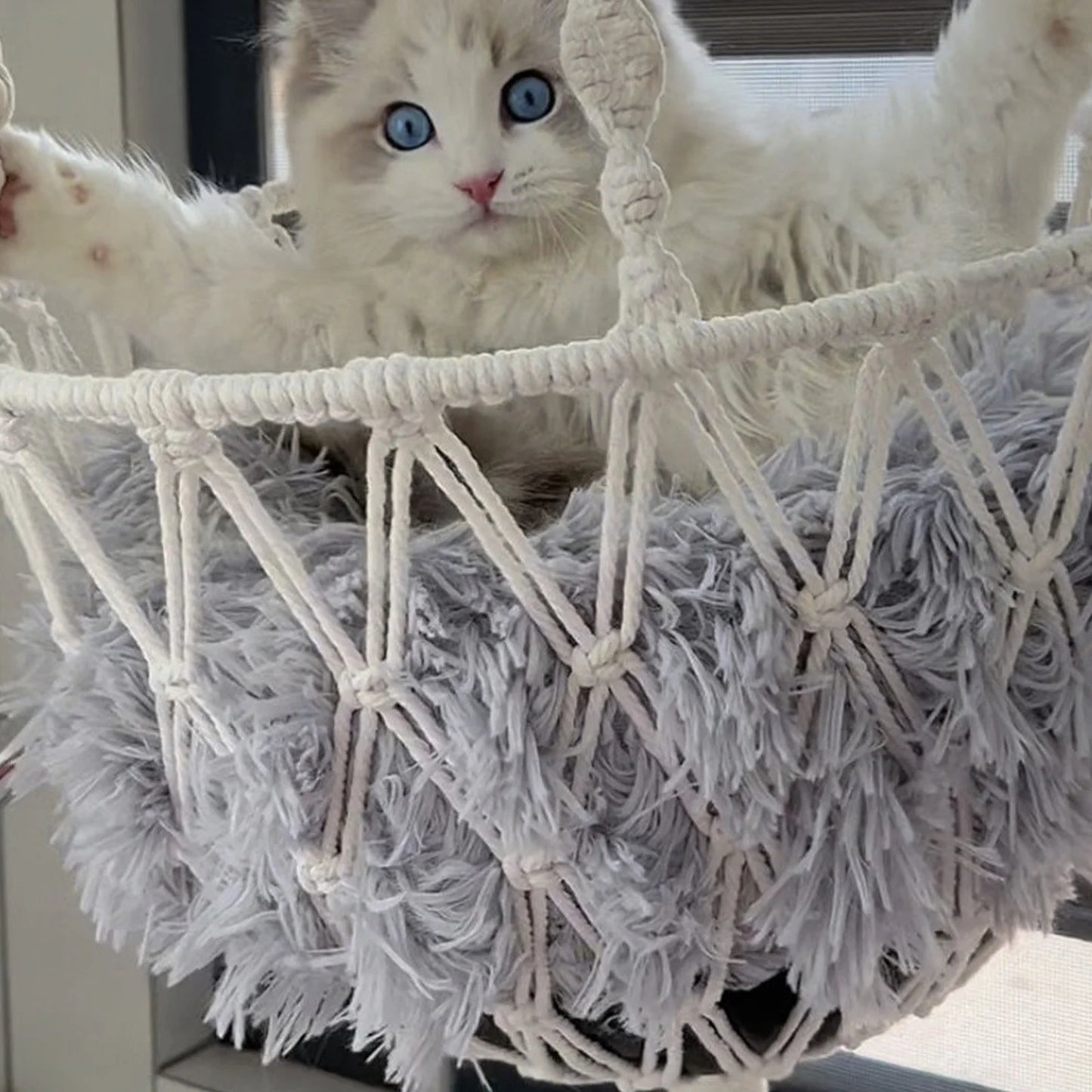 Window-Mounted Cat Bed & Hammock - Space-Saving, Secure Perch Designed for Cats