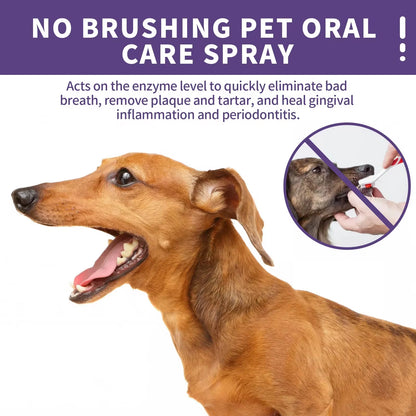 Oral Cleanse Spray for Pets- Designed to prevent plaque and calculus build-up in dog's & cat's teeth 50ml